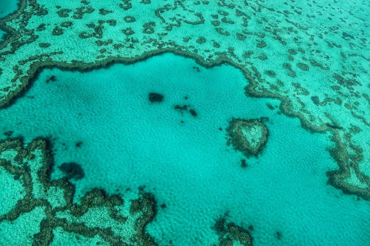 Heart Of Airlie Beach Apartment Buitenkant foto